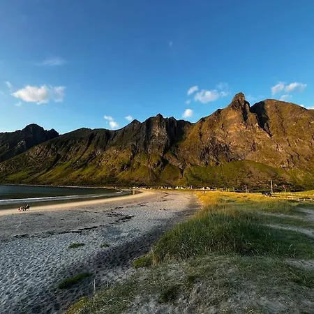 別荘 Just A Simple House